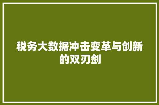 税务大数据冲击变革与创新的双刃剑