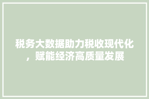 税务大数据助力税收现代化，赋能经济高质量发展