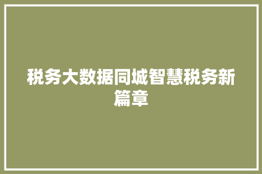 税务大数据同城智慧税务新篇章