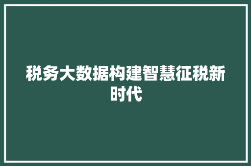 税务大数据构建智慧征税新时代