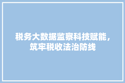 税务大数据监察科技赋能，筑牢税收法治防线