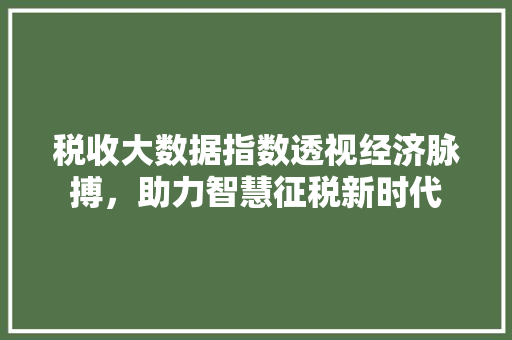 税收大数据指数透视经济脉搏，助力智慧征税新时代