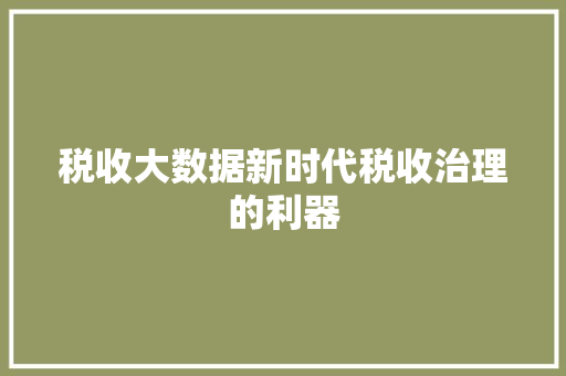 税收大数据新时代税收治理的利器
