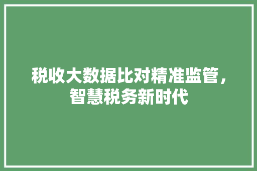 税收大数据比对精准监管，智慧税务新时代