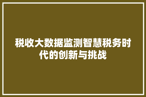 税收大数据监测智慧税务时代的创新与挑战