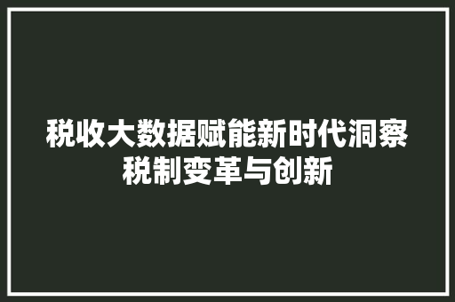 税收大数据赋能新时代洞察税制变革与创新
