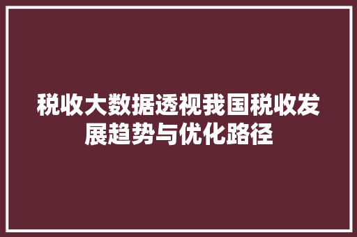 税收大数据透视我国税收发展趋势与优化路径