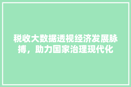 税收大数据透视经济发展脉搏，助力国家治理现代化