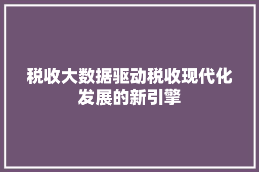 税收大数据驱动税收现代化发展的新引擎