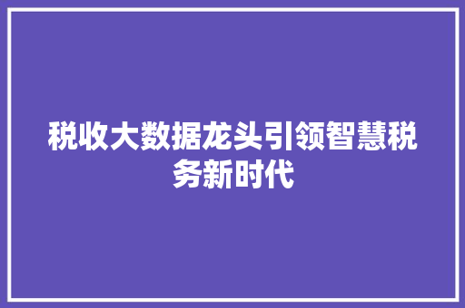 税收大数据龙头引领智慧税务新时代