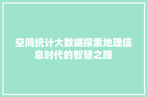 空间统计大数据探索地理信息时代的智慧之路