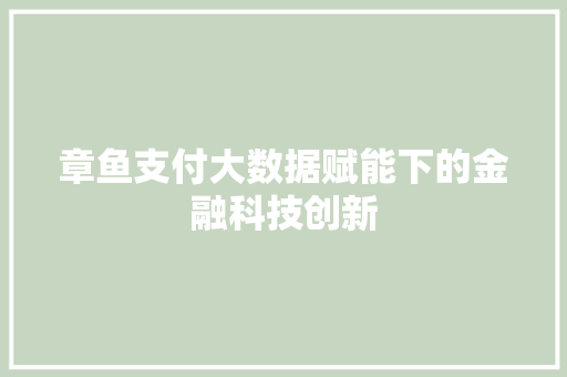 章鱼支付大数据赋能下的金融科技创新