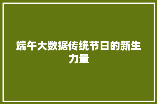 端午大数据传统节日的新生力量
