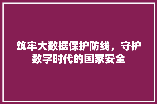 筑牢大数据保护防线，守护数字时代的国家安全