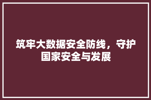 筑牢大数据安全防线，守护国家安全与发展