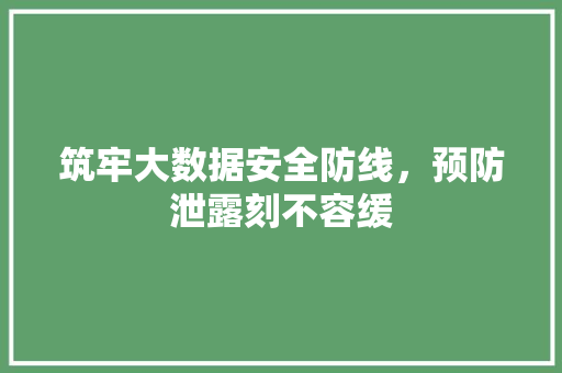 筑牢大数据安全防线,预防泄露刻不容缓 筑牢大数据安全防线,预防泄露刻不容缓