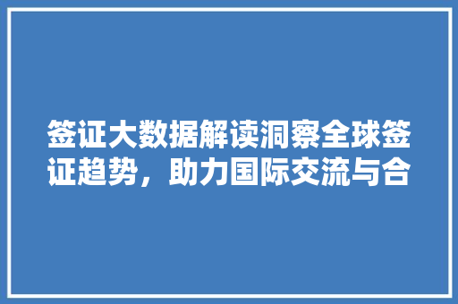 签证大数据解读洞察全球签证趋势,助力国际交流与合作 签证大数据解读洞察全球签证趋势,助力国际交流与合作