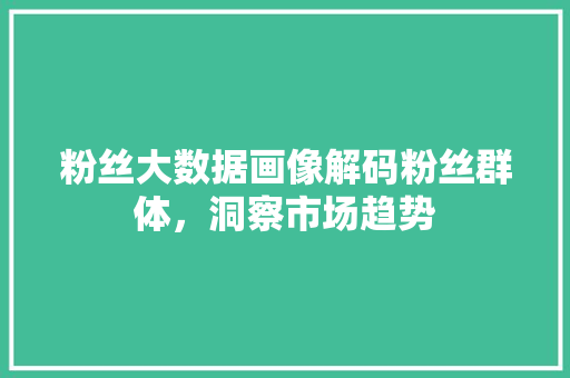 粉丝大数据画像解码粉丝群体，洞察市场趋势