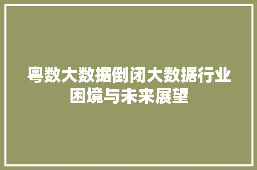 粤数大数据倒闭大数据行业困境与未来展望