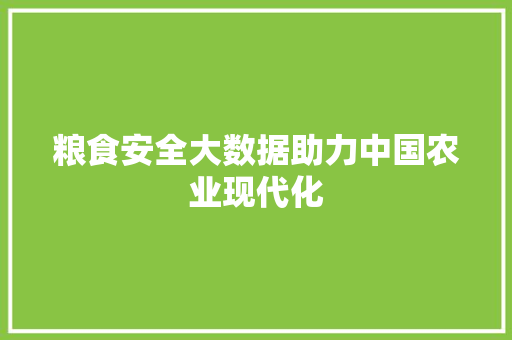 粮食安全大数据助力中国农业现代化