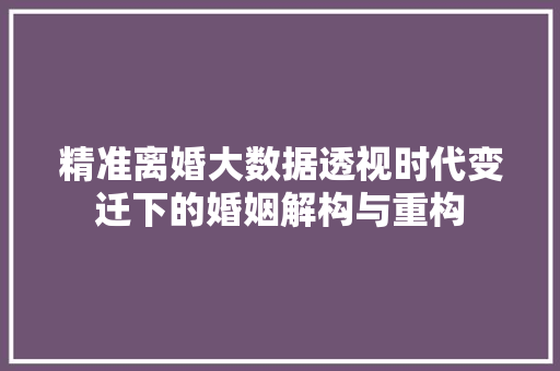 精准离婚大数据透视时代变迁下的婚姻解构与重构