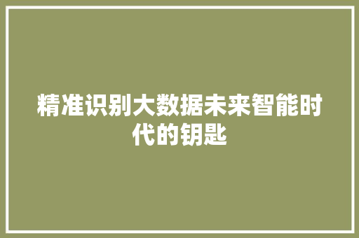 精准识别大数据未来智能时代的钥匙