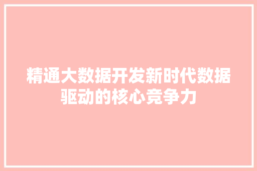 精通大数据开发新时代数据驱动的核心竞争力
