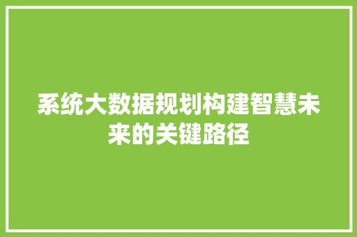 系统大数据规划构建智慧未来的关键路径 系统大数据规划构建智慧未来的关键路径