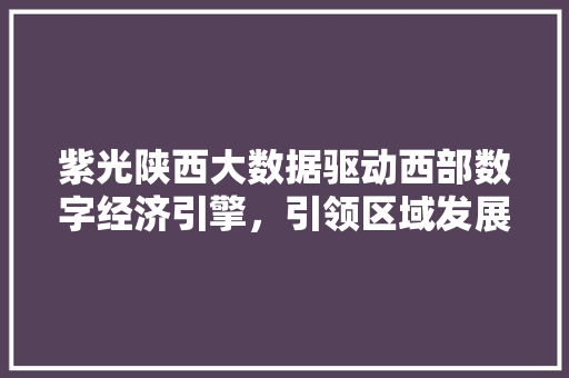 紫光陕西大数据驱动西部数字经济引擎，引领区域发展新趋势