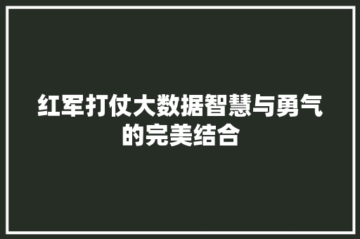红军打仗大数据智慧与勇气的完美结合