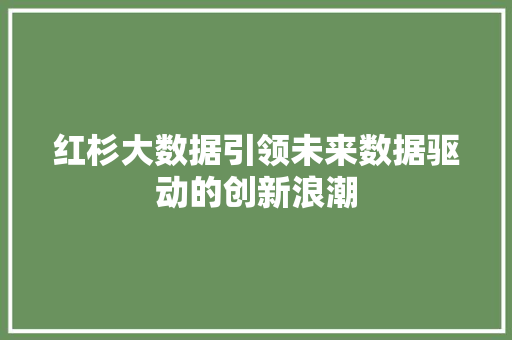 红杉大数据引领未来数据驱动的创新浪潮 红杉大数据引领未来数据驱动的创新浪潮