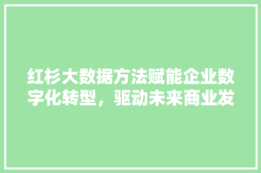 红杉大数据方法赋能企业数字化转型,驱动未来商业发展 红杉大数据方法赋能企业数字化转型,驱动未来商业发展
