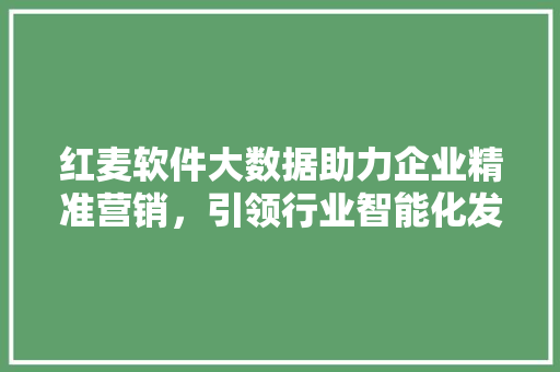 红麦软件大数据助力企业精准营销，引领行业智能化发展