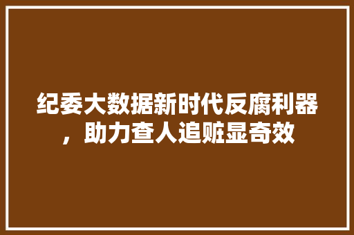 纪委大数据新时代反腐利器，助力查人追赃显奇效