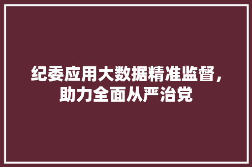 纪委应用大数据精准监督，助力全面从严治党