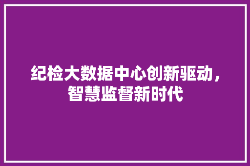 纪检大数据中心创新驱动，智慧监督新时代
