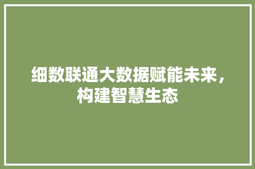 细数联通大数据赋能未来，构建智慧生态