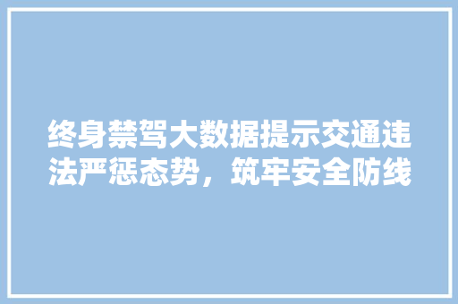 终身禁驾大数据提示交通违法严惩态势，筑牢安全防线
