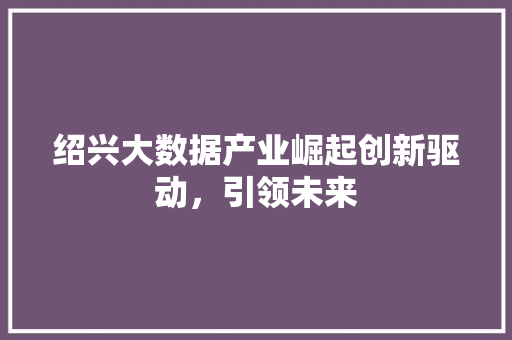 绍兴大数据产业崛起创新驱动，引领未来