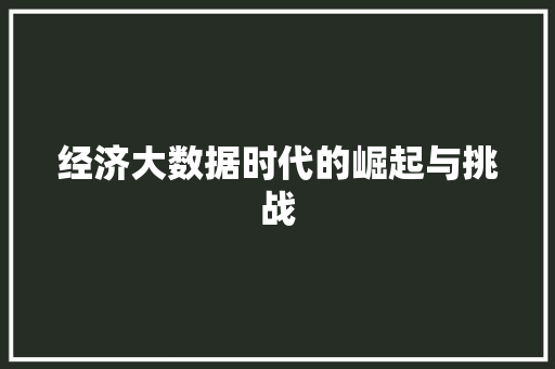 经济大数据时代的崛起与挑战