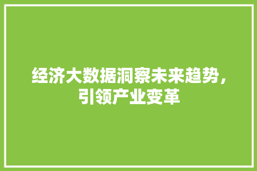 经济大数据洞察未来趋势，引领产业变革 网络技术