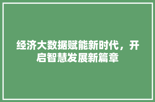 经济大数据赋能新时代，开启智慧发展新篇章 操作系统
