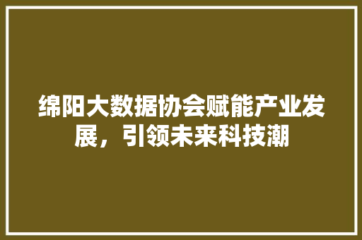 绵阳大数据协会赋能产业发展，引领未来科技潮