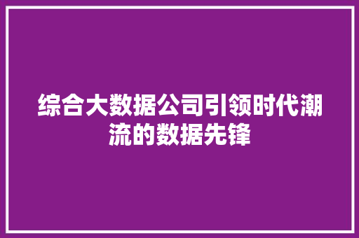 综合大数据公司引领时代潮流的数据先锋