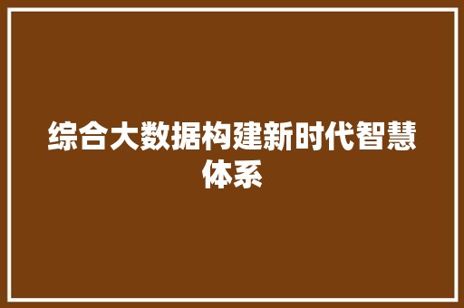 综合大数据构建新时代智慧体系