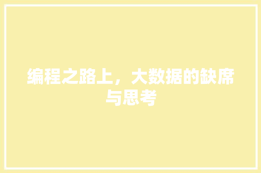 编程之路上，大数据的缺席与思考