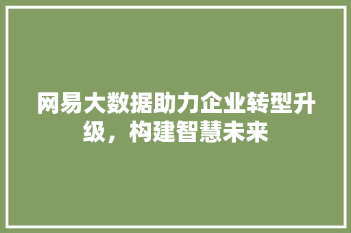 网易大数据助力企业转型升级，构建智慧未来