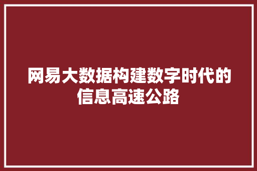 网易大数据构建数字时代的信息高速公路 网易大数据构建数字时代的信息高速公路