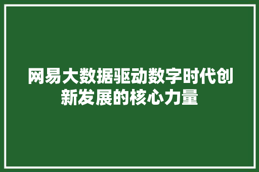 网易大数据驱动数字时代创新发展的核心力量