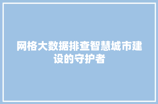 网格大数据排查智慧城市建设的守护者